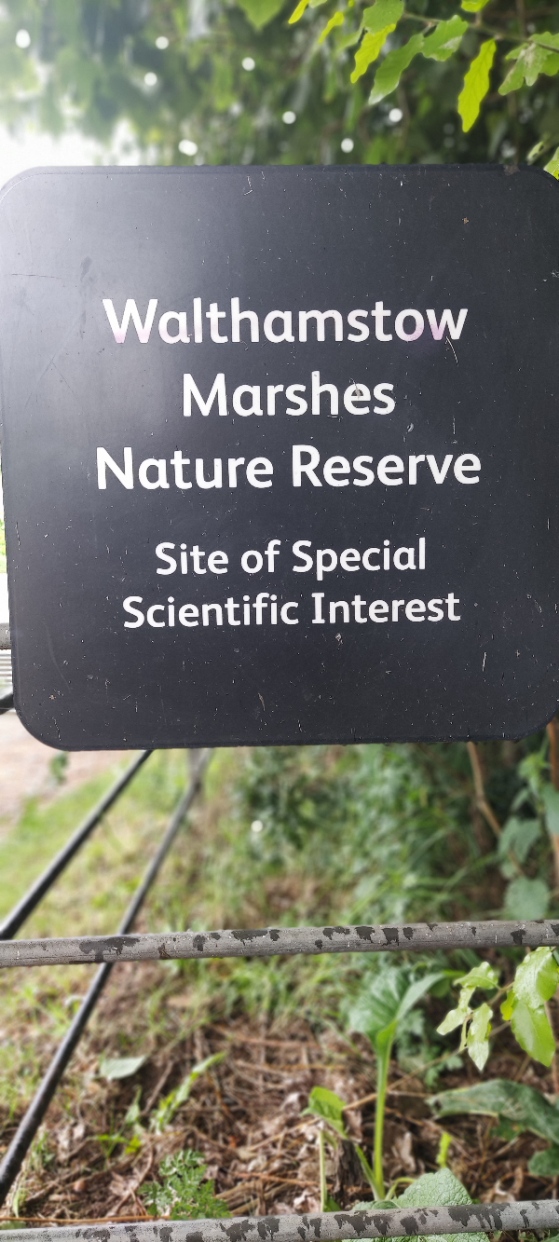Walthamstow Marshes Nature Reserve SSSi